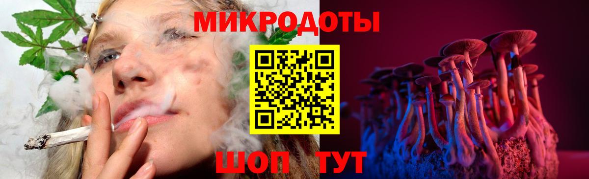 Галлюциногенные грибы мухоморы  Псилоцибиновые грибы Cubensis  Свободный  Вход с VPN 